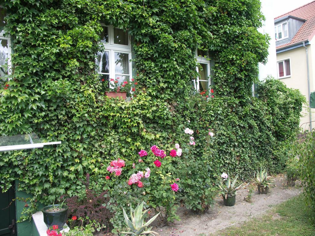3 Sterne Hotel Frankfurt-Oder Zur Alten Oder Frankfurt  Dış mekan fotoğraf